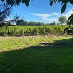 Chateau La Graviere Vertheuil-en-Médoc