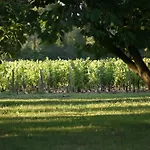 Oda ve Kahvaltı Chateau La Graviere